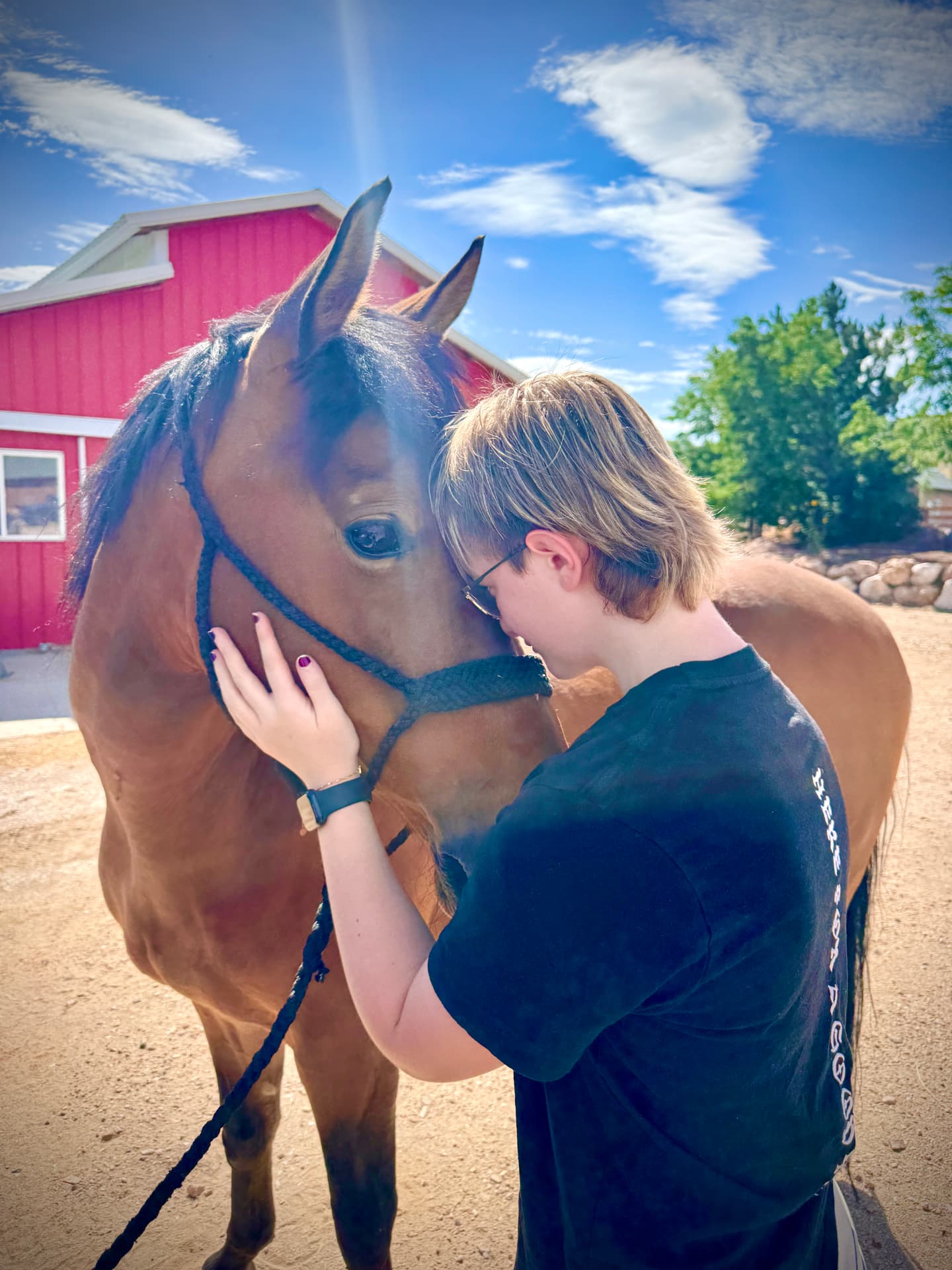 A person resting their forehead against a horse.